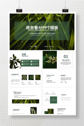 绿色清新树叶春分二十四节气PPT模板