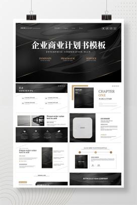黑金轻奢风商业计划书PPT模板